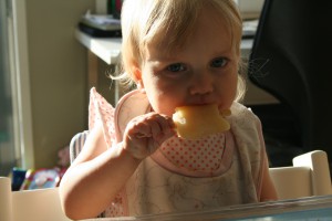 IMG_7630